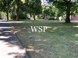 Park Park